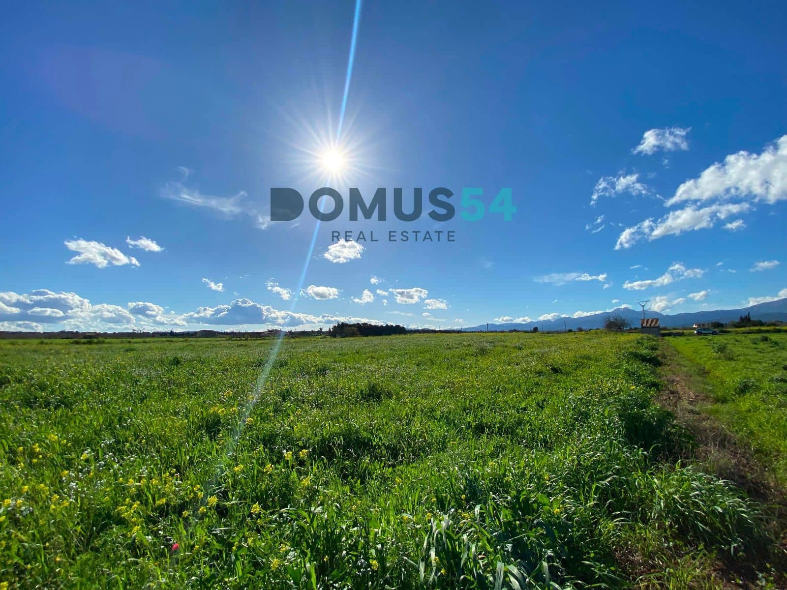 Bouwgrond te koop in Muro - € 180.000 (Ref: 8873183)