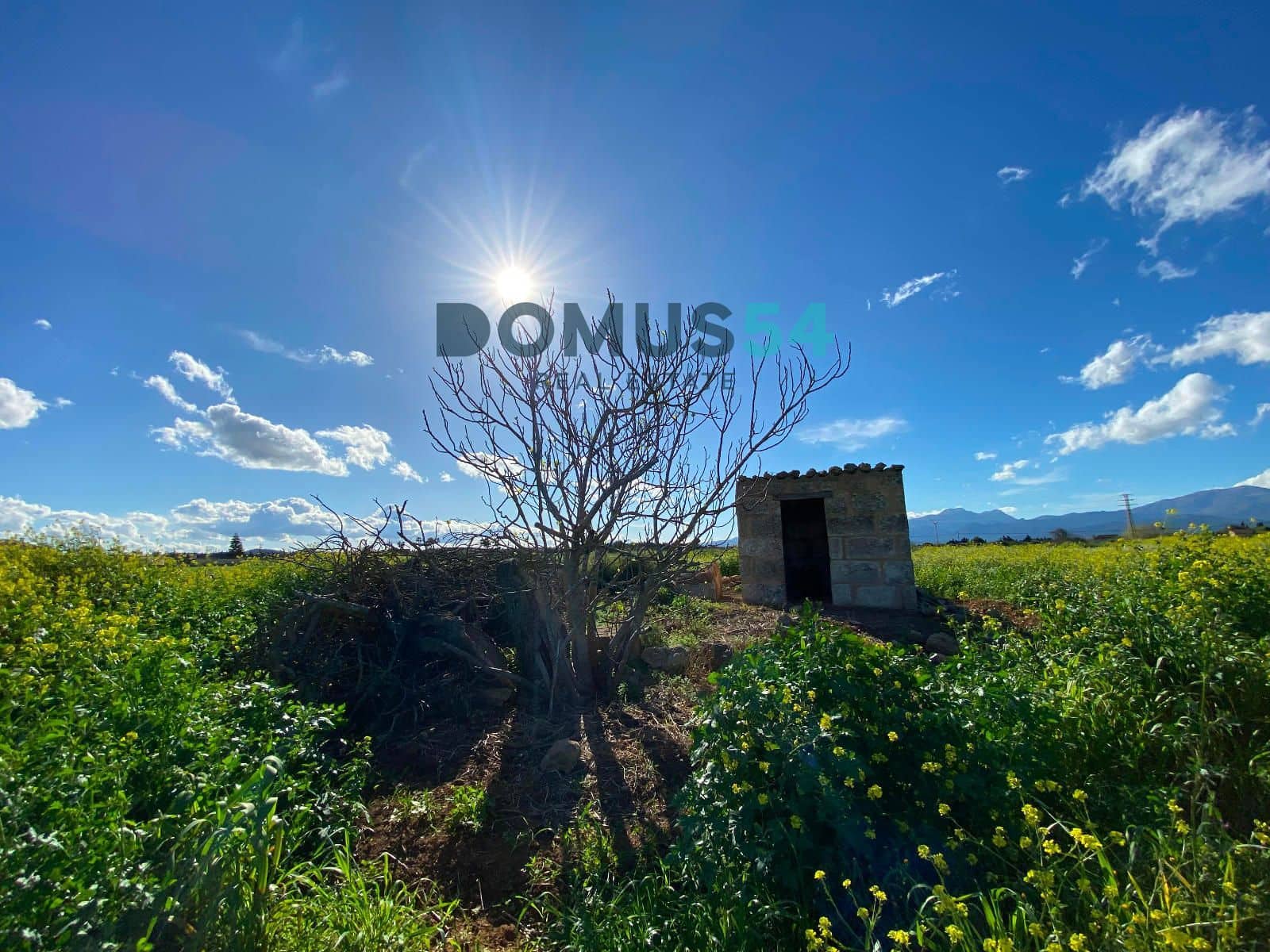 Bouwgrond te koop in Muro - € 180.000 (Ref: 8873183)