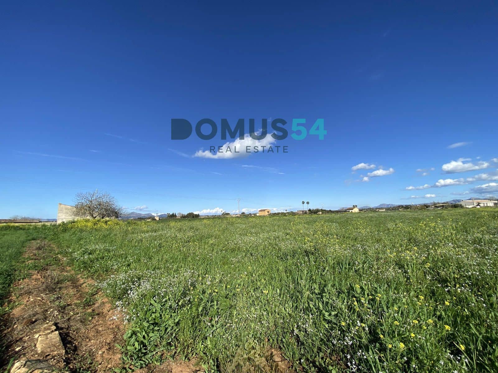 Bouwgrond te koop in Muro - € 180.000 (Ref: 8873183)