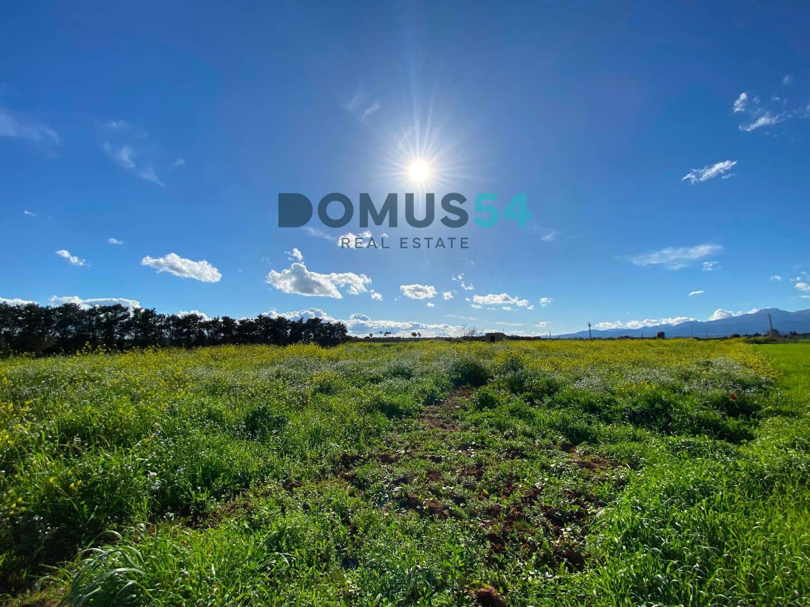 Bouwgrond te koop in Muro - € 180.000 (Ref: 8873183)