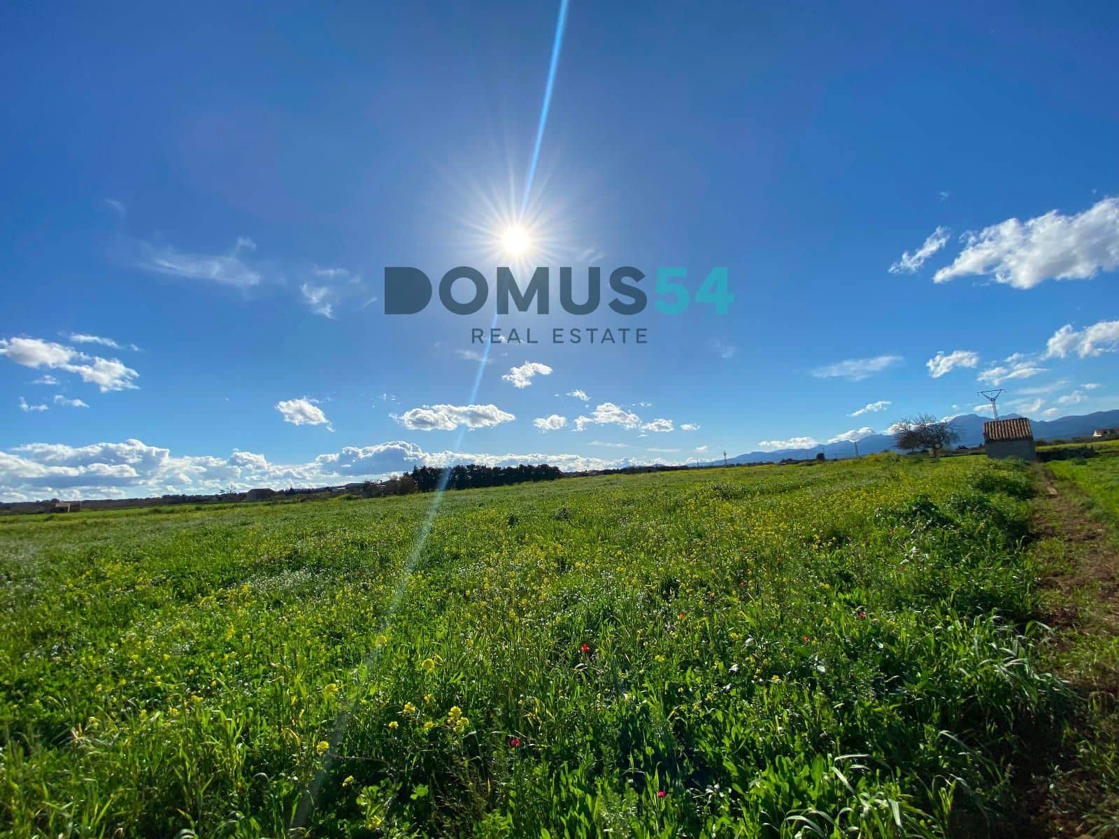 Bouwgrond te koop in Muro - € 180.000 (Ref: 8873183)