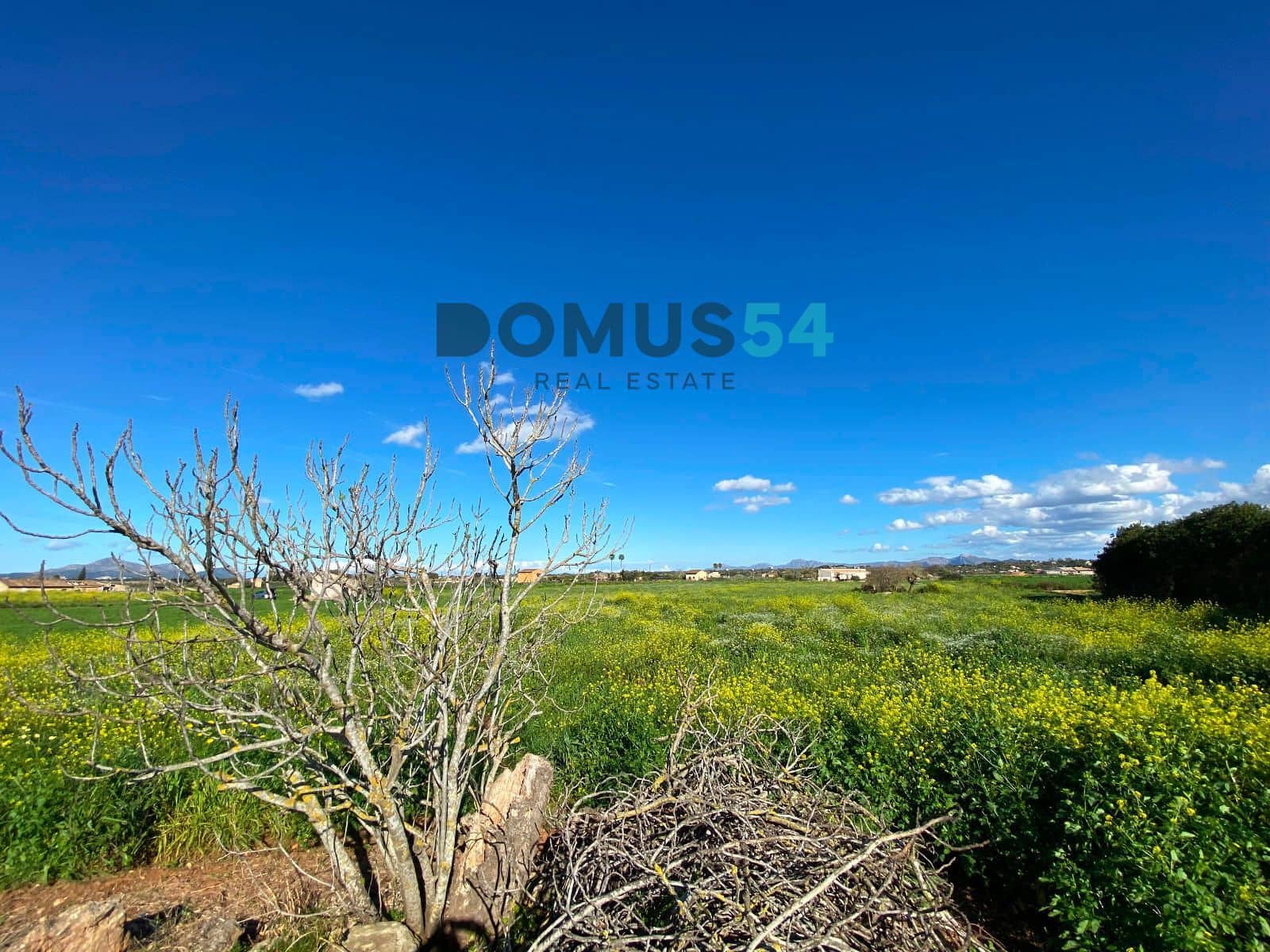 Bouwgrond te koop in Muro - € 180.000 (Ref: 8873183)