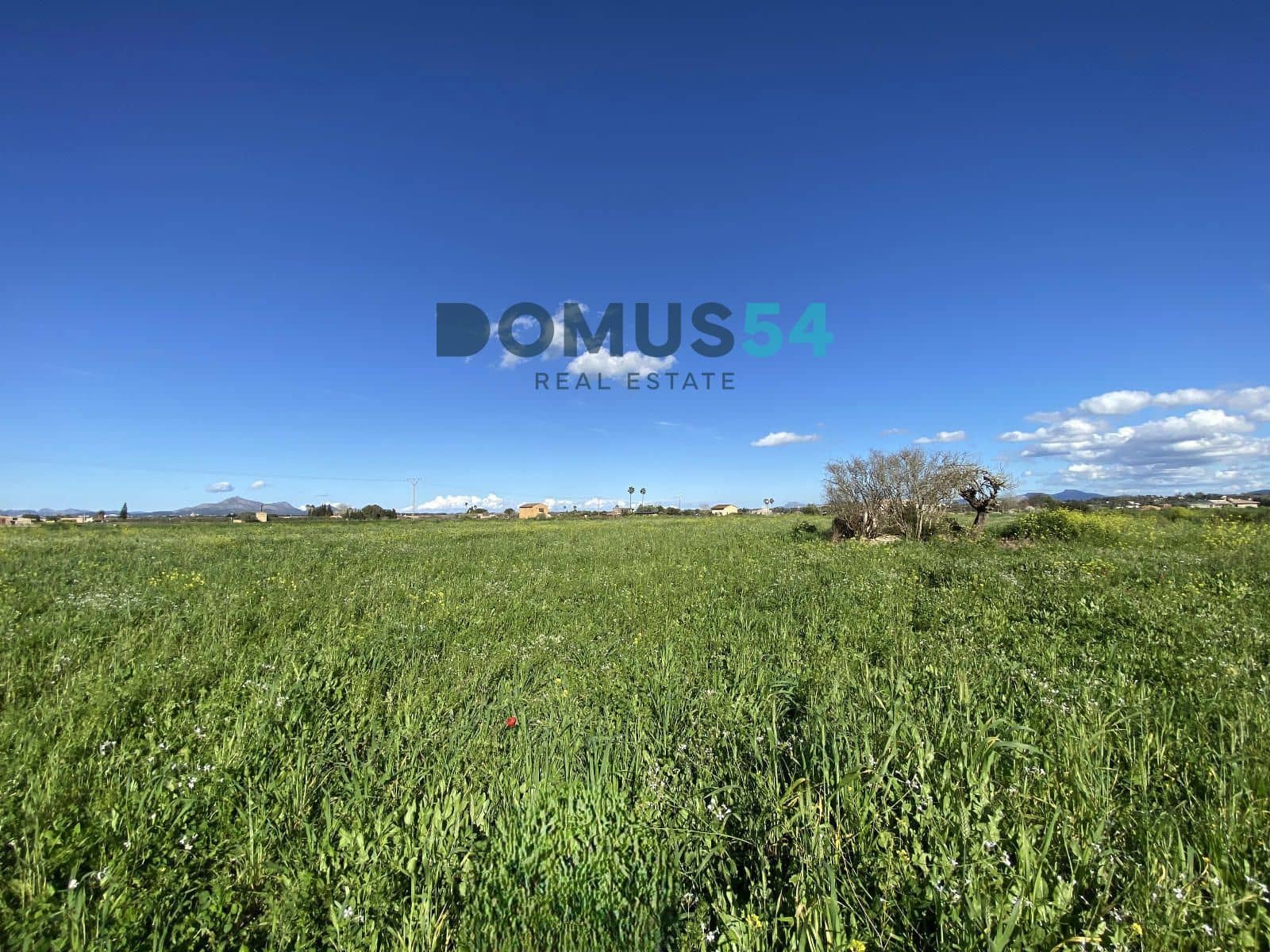 Bouwgrond te koop in Muro - € 180.000 (Ref: 8873183)