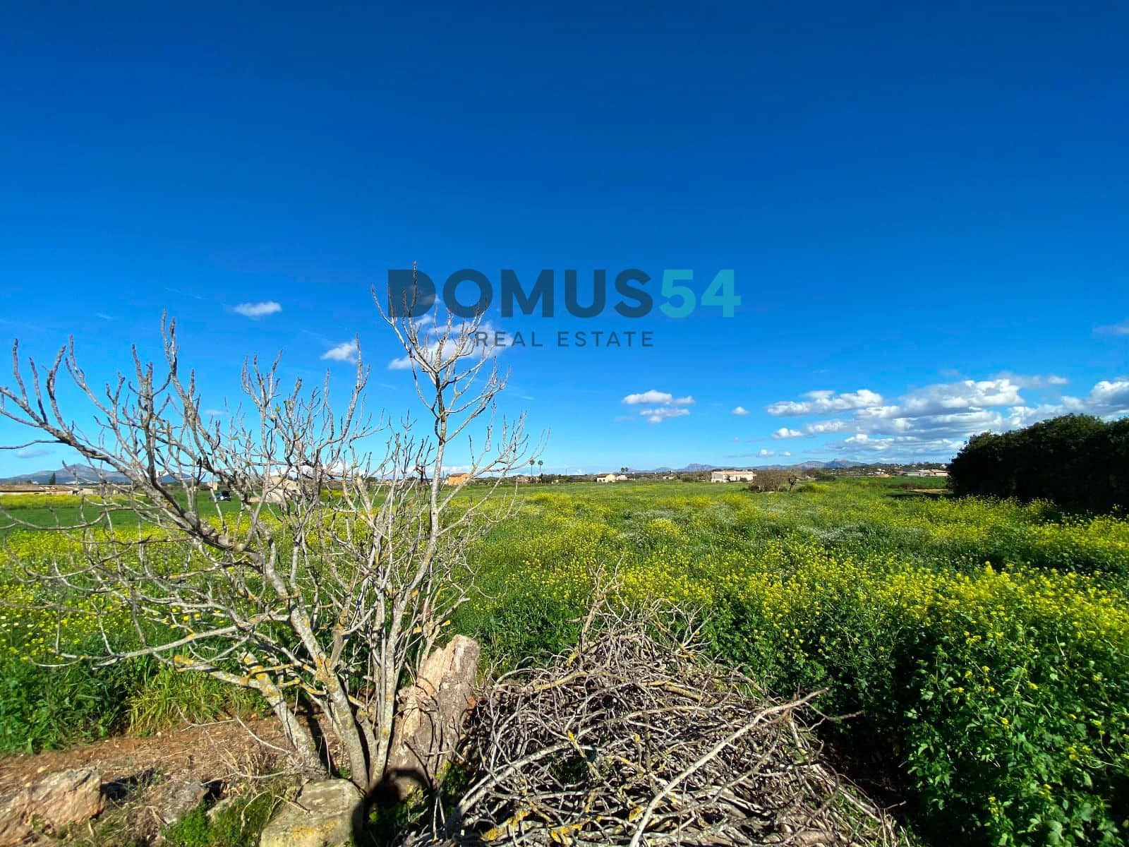 Bouwgrond te koop in Muro - € 180.000 (Ref: 8873183)