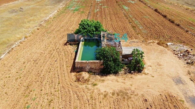 Building Plot for sale in Sa Pobla - € 198,000 (Ref: 8885113)