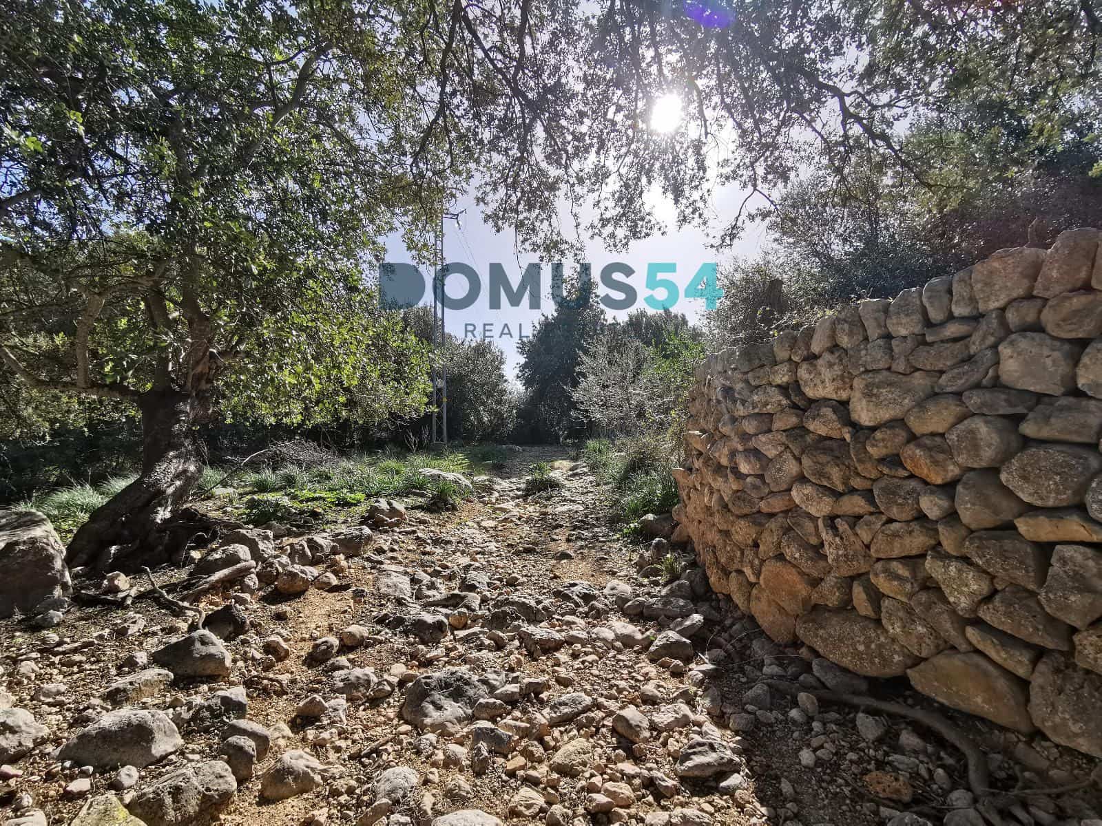 8 soveværelse Villa til salg i Alaro med garage - € 3.500.000 (Ref: 8966868)