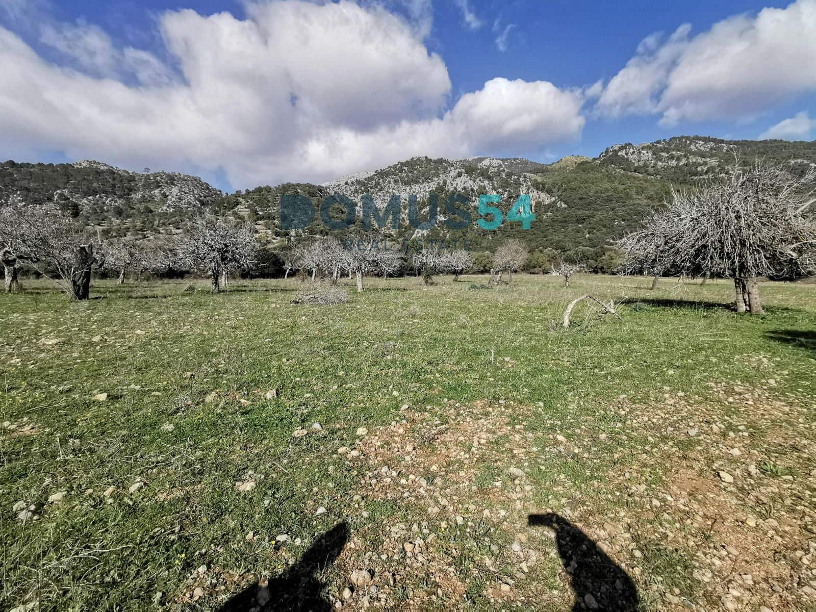 8 soveværelse Villa til salg i Alaro med garage - € 3.500.000 (Ref: 8966868)