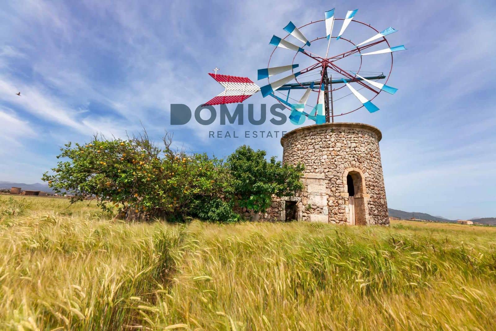 Erhverv til salg i Sa Pobla - € 168.500 (Ref: 8967292)