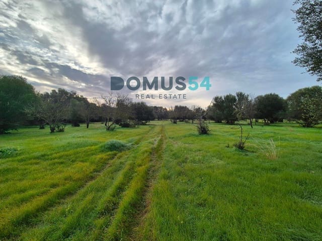 Building Plot for sale in Búger - € 310,000 (Ref: 9003824)