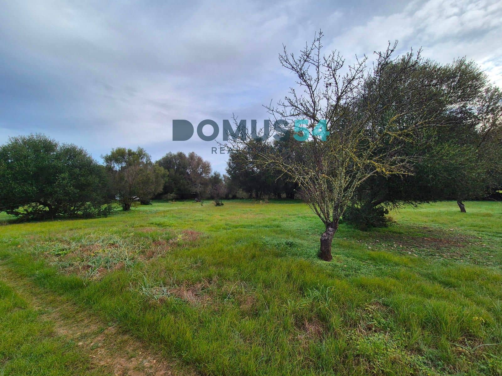 Byggegrund til salg i Buger - € 310.000 (Ref: 9003824)