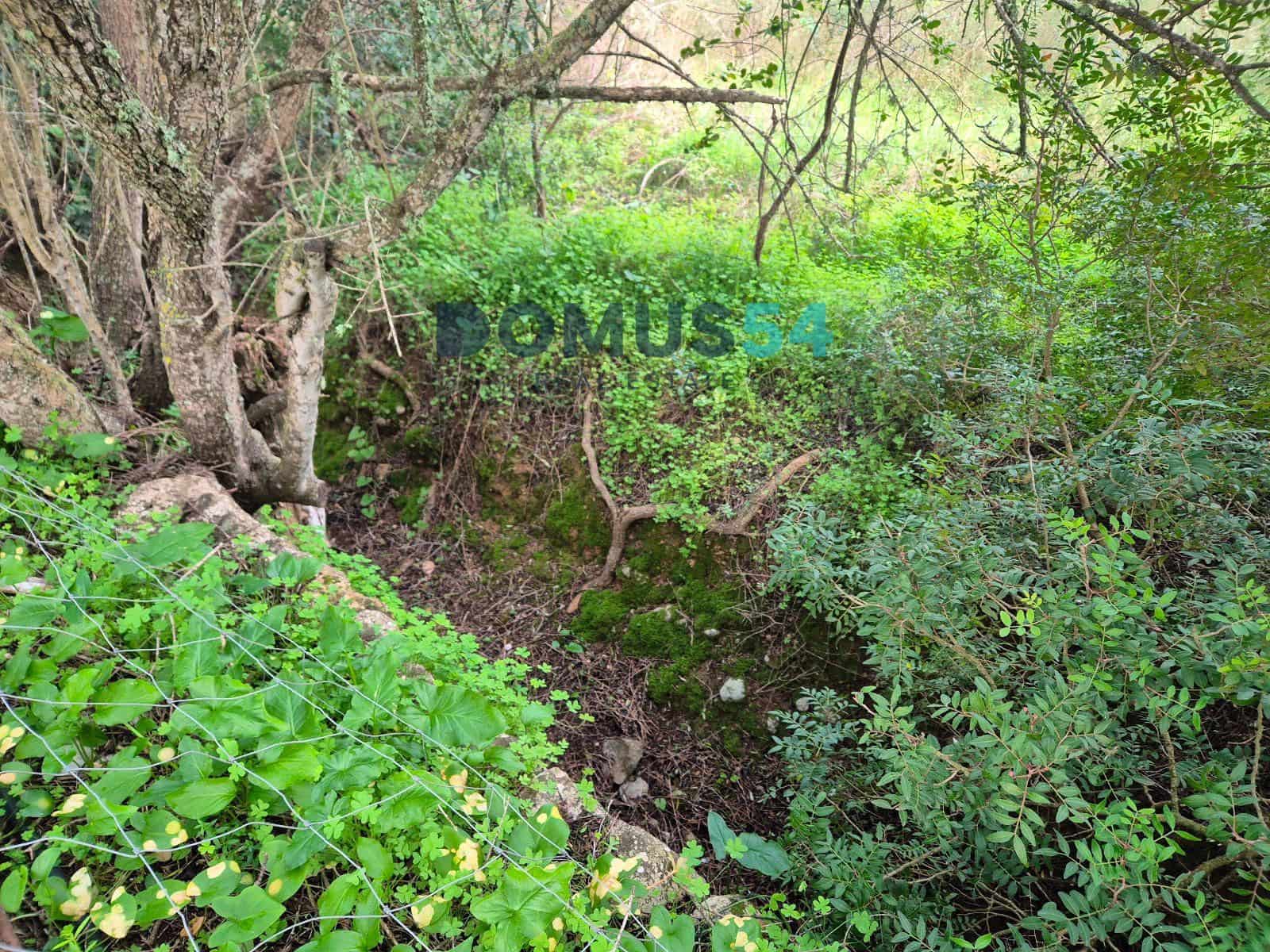 Byggegrund til salg i Buger - € 310.000 (Ref: 9003824)