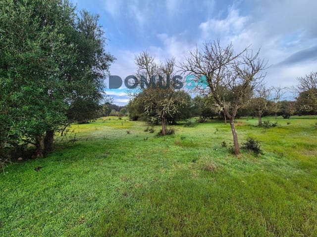 Building Plot for sale in Búger - € 310,000 (Ref: 9003824)