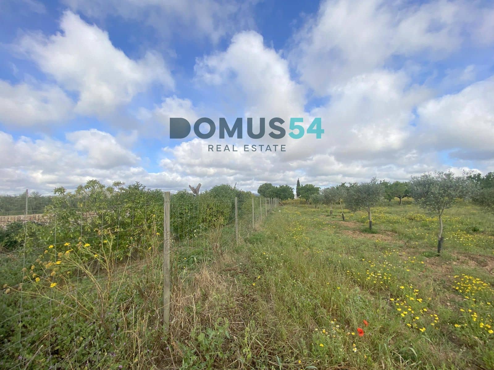 Grunde uden byggetilladelser til salg i Porreres - € 33.000 (Ref: 9013215)