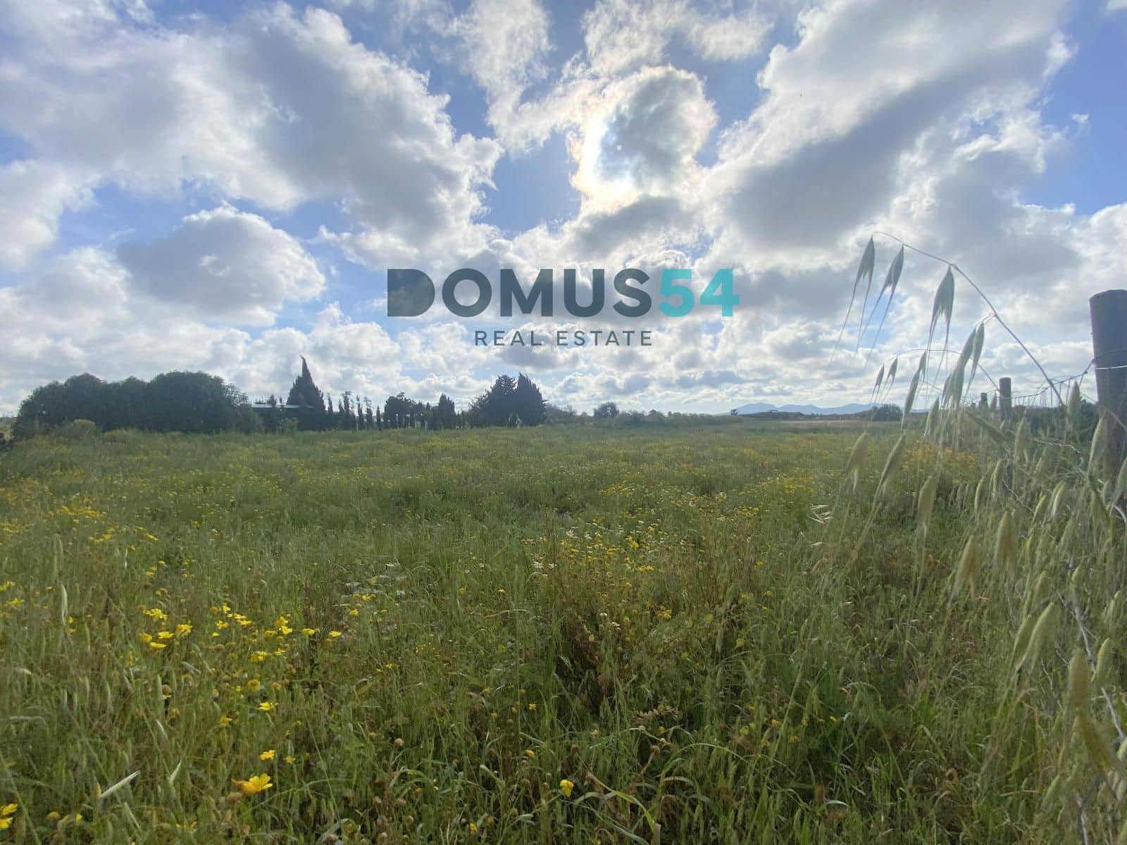 Grunde uden byggetilladelser til salg i Porreres - € 33.000 (Ref: 9013215)