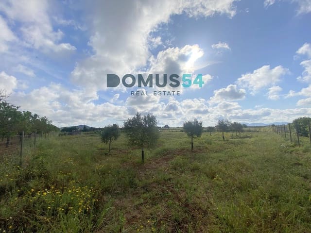 Mark till salu i Porreres - 33 000 € (Ref: 9013215)