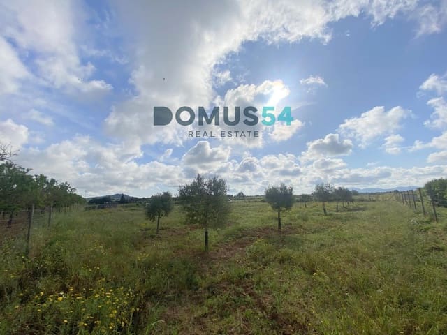 Mark till salu i Porreres - 33 000 € (Ref: 9013215)