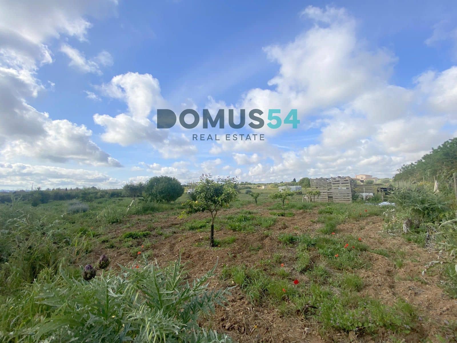 Grunde uden byggetilladelser til salg i Porreres - € 33.000 (Ref: 9013215)