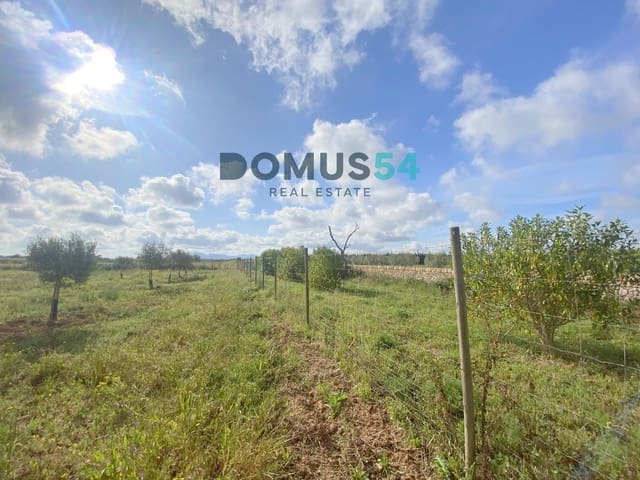 Mark till salu i Porreres - 33 000 € (Ref: 9013215)