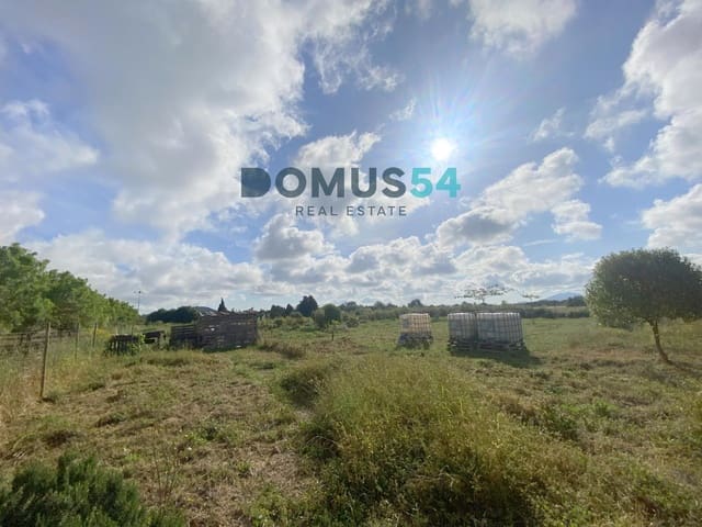 Mark till salu i Porreres - 33 000 € (Ref: 9013215)