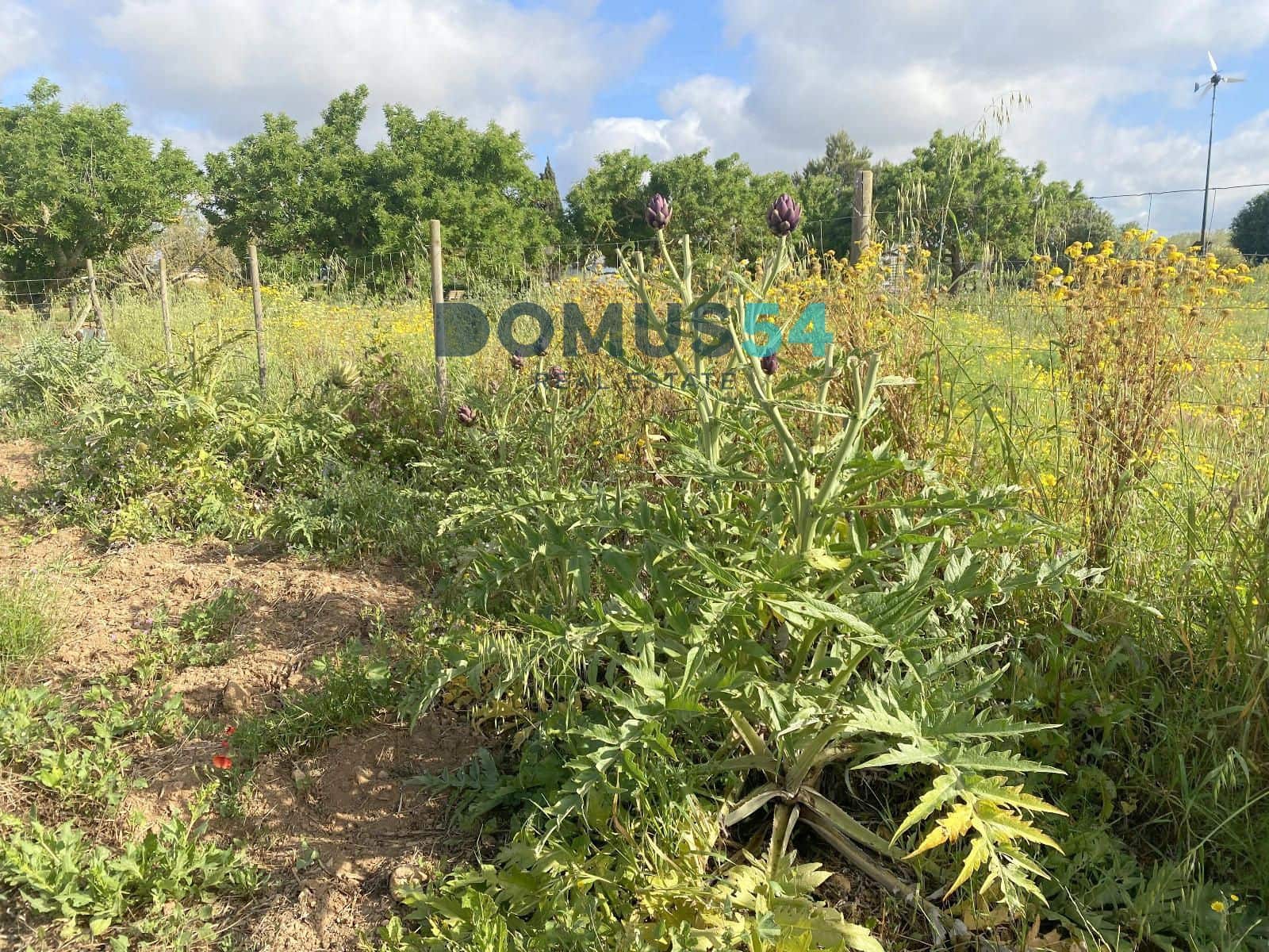 Grunde uden byggetilladelser til salg i Porreres - € 33.000 (Ref: 9013215)