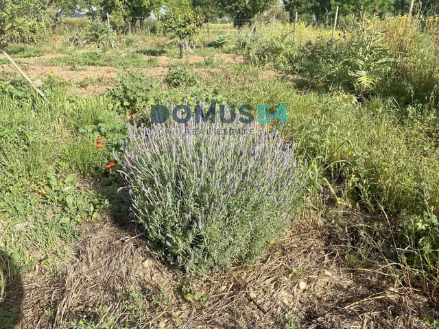 Mark till salu i Porreres - 33 000 € (Ref: 9013215)