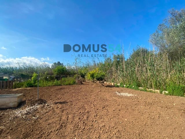 Grond te koop in Sa Pobla - € 60.000 (Ref: 9031141)