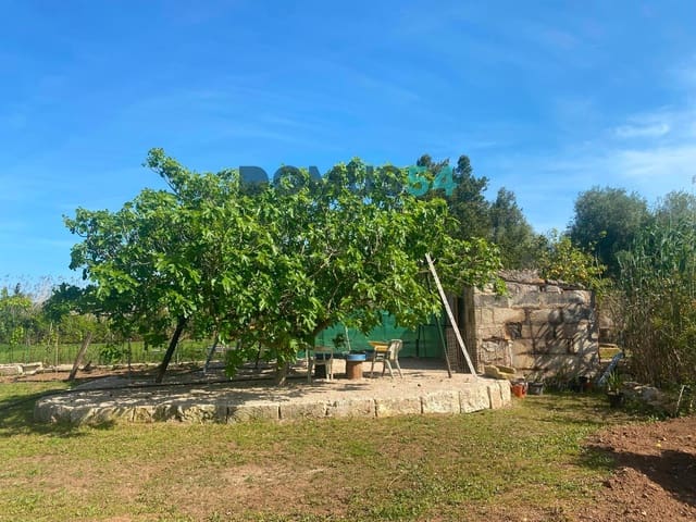 Grond te koop in Sa Pobla - € 60.000 (Ref: 9031141)