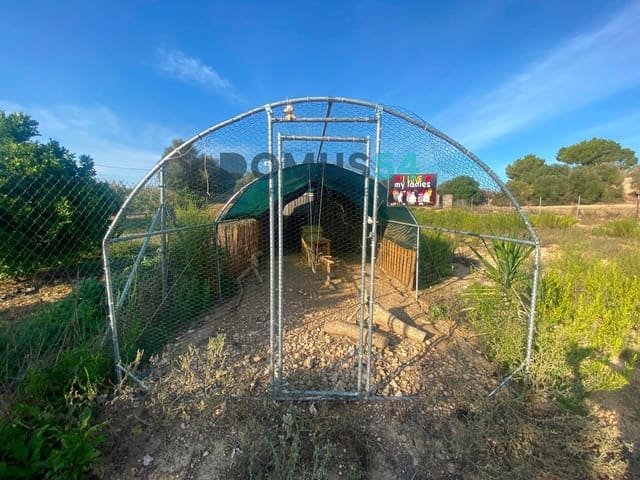 Grond te koop in María de la Salud / María de la Salut - € 23.000 (Ref: 9097311)