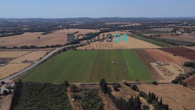 Building Plot for sale in Llubí - € 360,000 (Ref: 9113191)