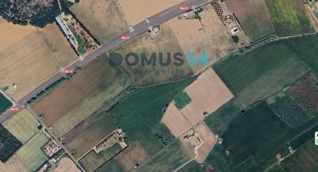 Ubebygd land til salgs i Sa Pobla - € 65 000 (Ref: 9350144)