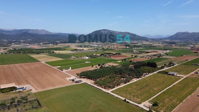 Ubebygd land til salgs i Sa Pobla - € 65 000 (Ref: 9350144)