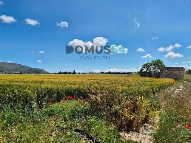 Ubebygd land til salgs i Sa Pobla - € 65 000 (Ref: 9350144)