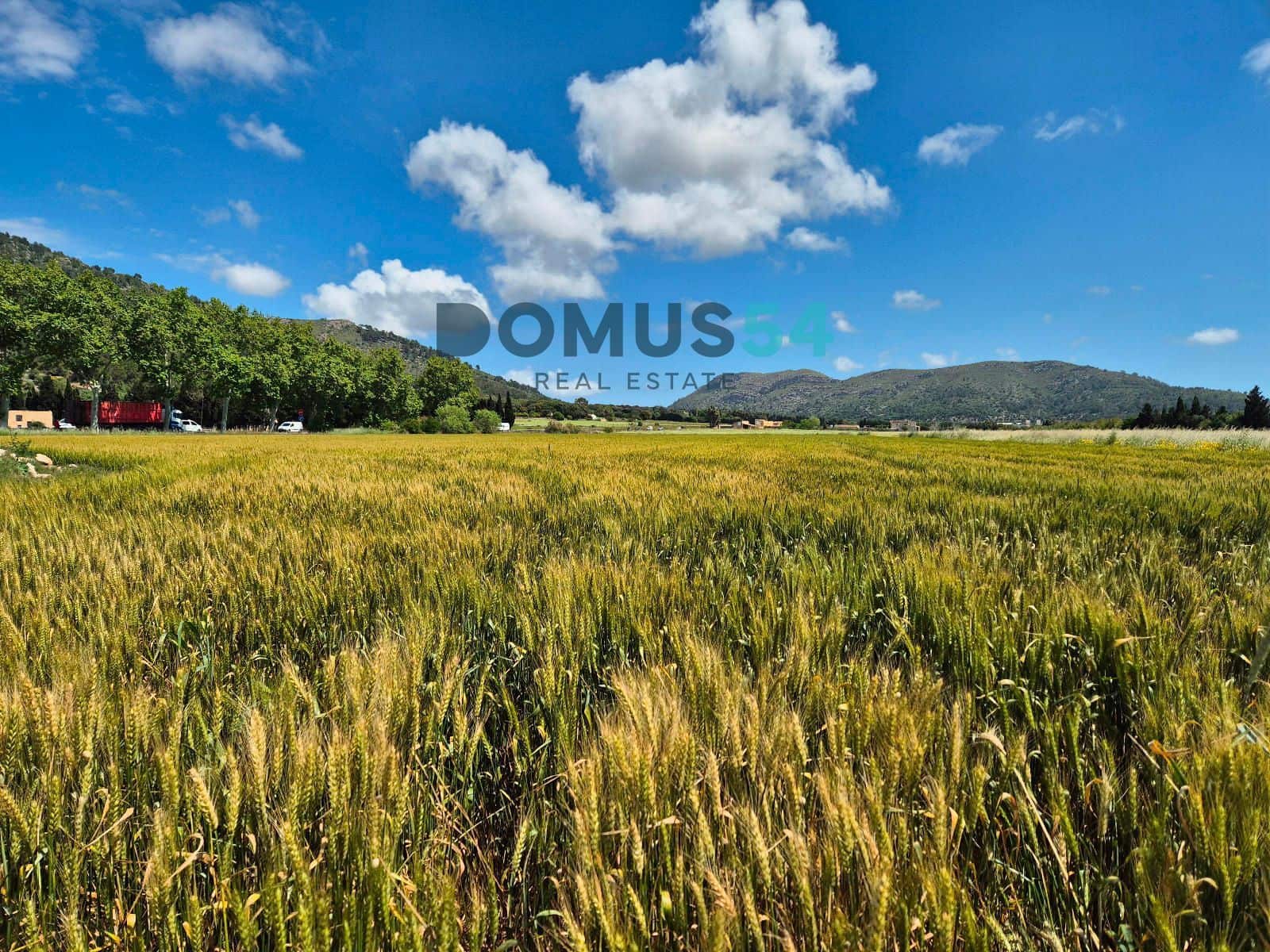 Ubebygd land til salgs i Sa Pobla - € 65 000 (Ref: 9350144)