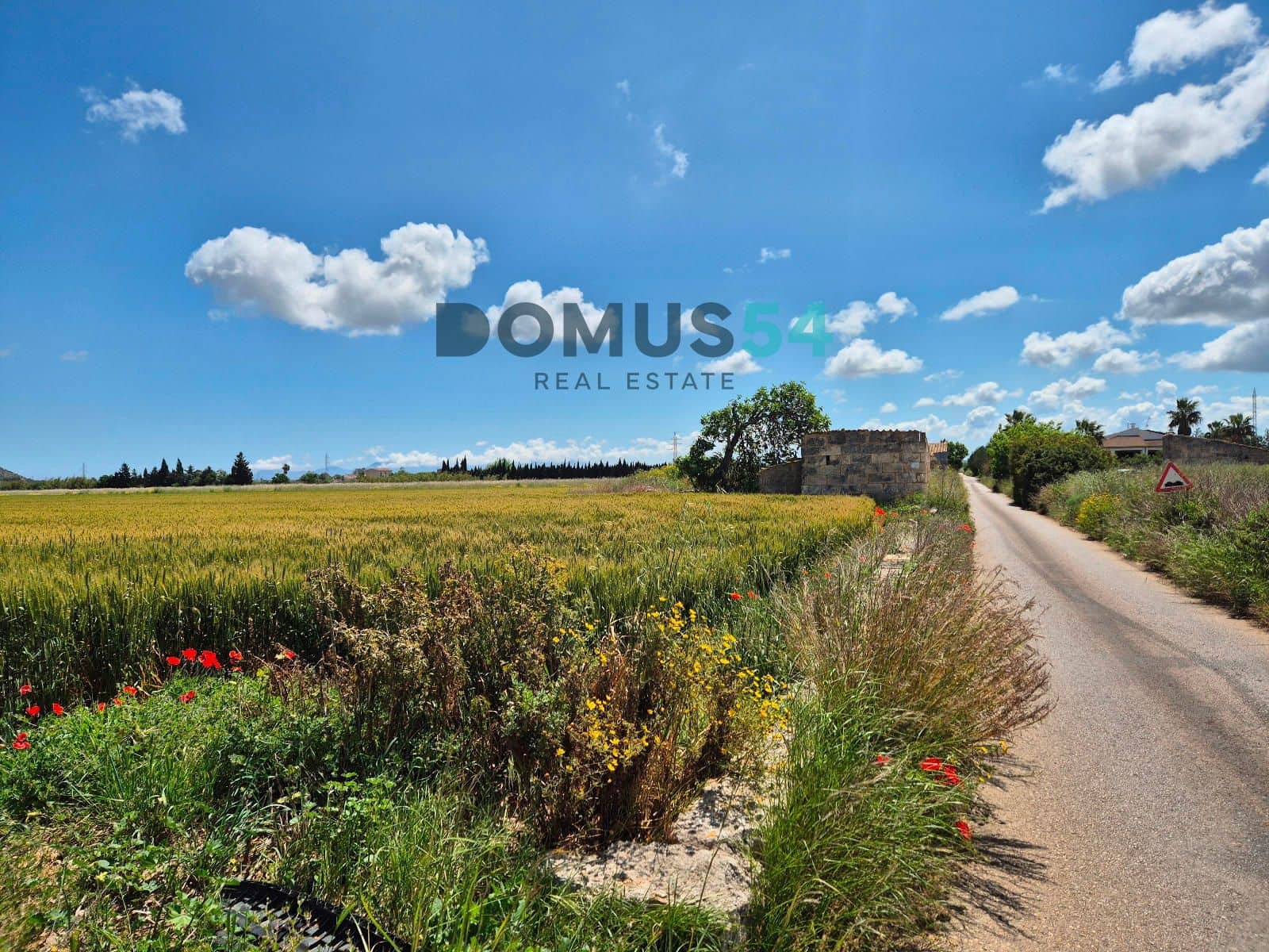 Ubebygd land til salgs i Sa Pobla - € 65 000 (Ref: 9350144)