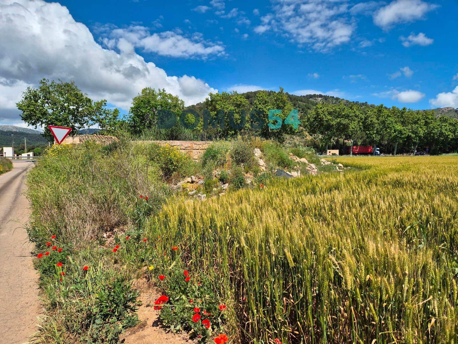 Ubebygd land til salgs i Sa Pobla - € 65 000 (Ref: 9350144)