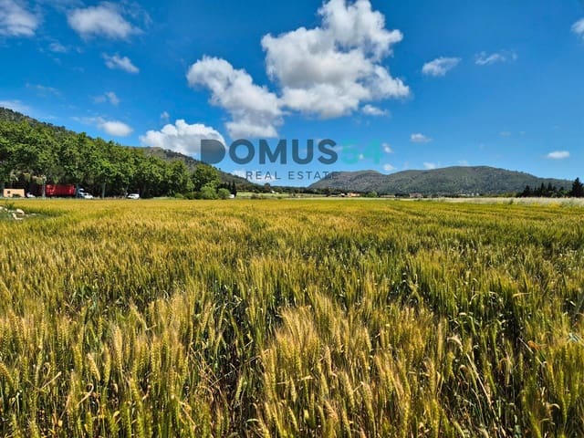 Ubebygd land til salgs i Sa Pobla - € 65 000 (Ref: 9350144)