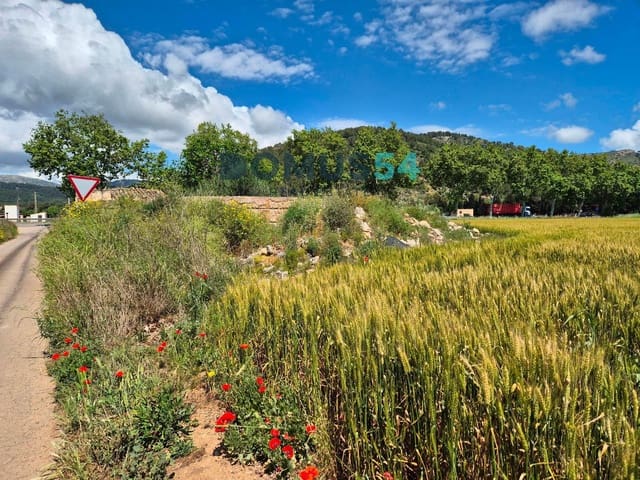 Ubebygd land til salgs i Sa Pobla - € 65 000 (Ref: 9350144)