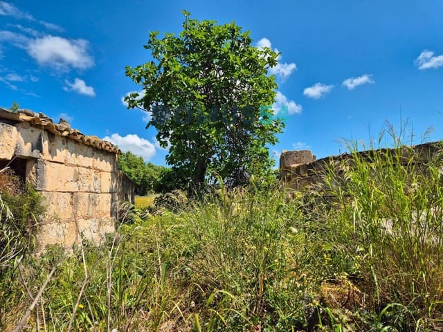 Ubebygd land til salgs i Sa Pobla - € 65 000 (Ref: 9350144)