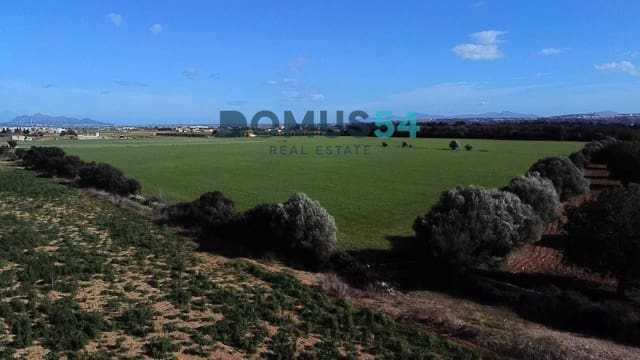 Byggetomt til salgs i Sa Pobla - € 650 000 (Ref: 9524962)