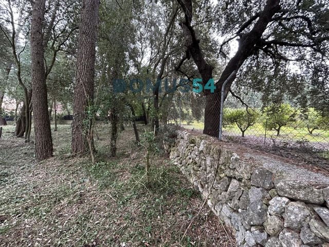 Bouwgrond te koop in Sa Pobla - € 650.000 (Ref: 9773554)