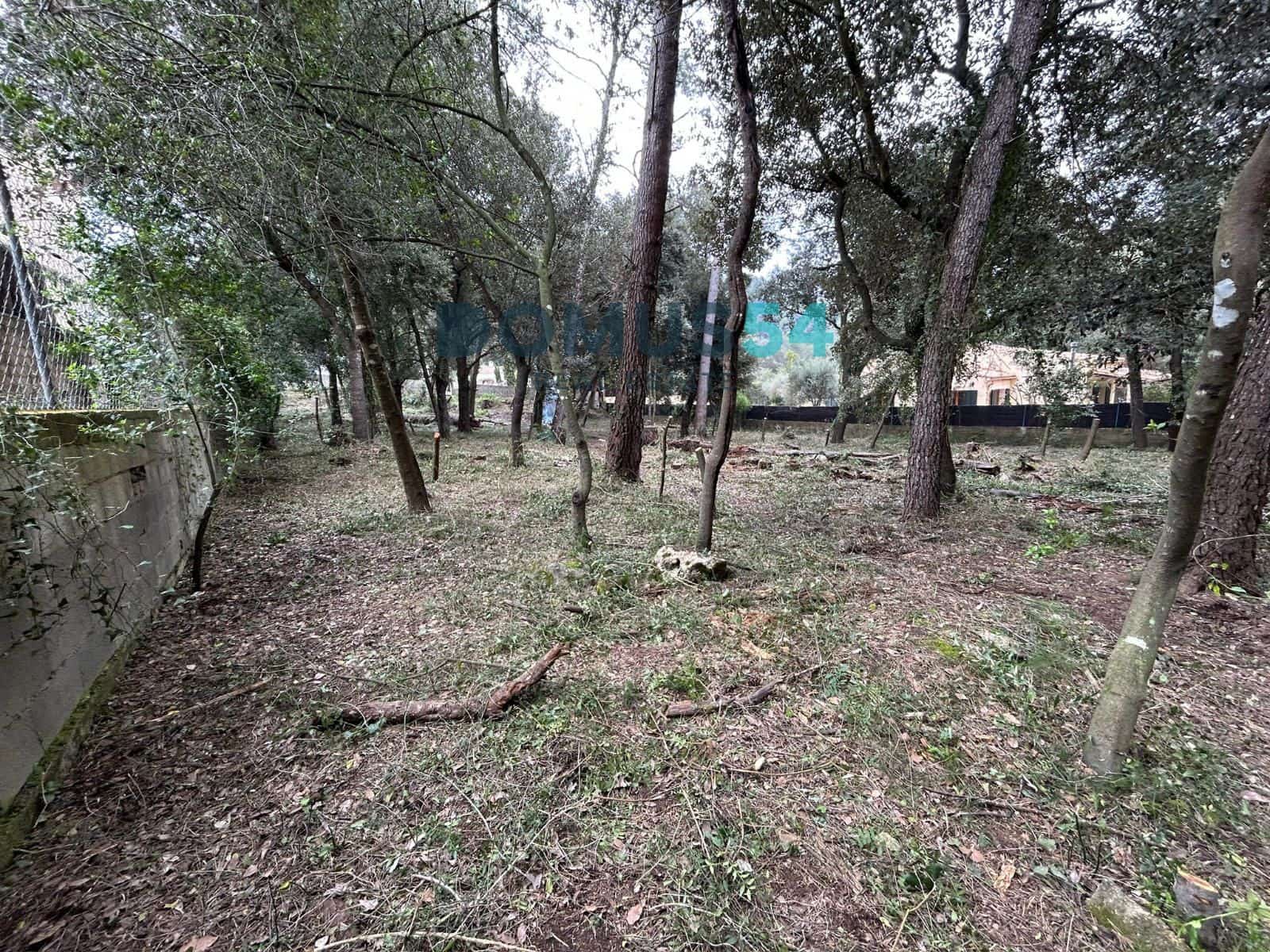 Bouwgrond te koop in Sa Pobla - € 650.000 (Ref: 9773554)