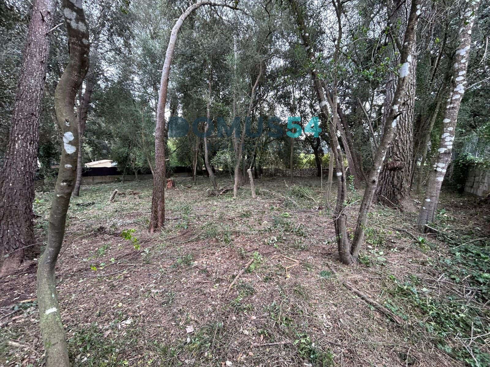 Bouwgrond te koop in Sa Pobla - € 650.000 (Ref: 9773554)