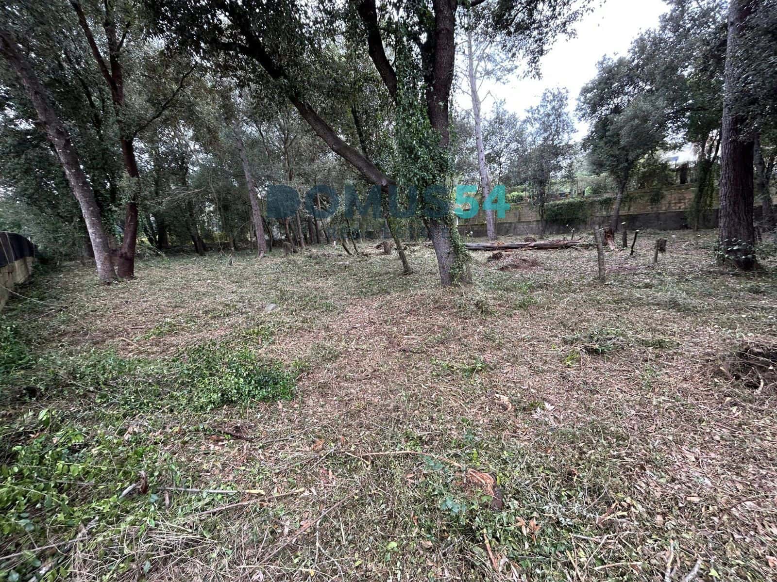 Bouwgrond te koop in Sa Pobla - € 650.000 (Ref: 9773554)