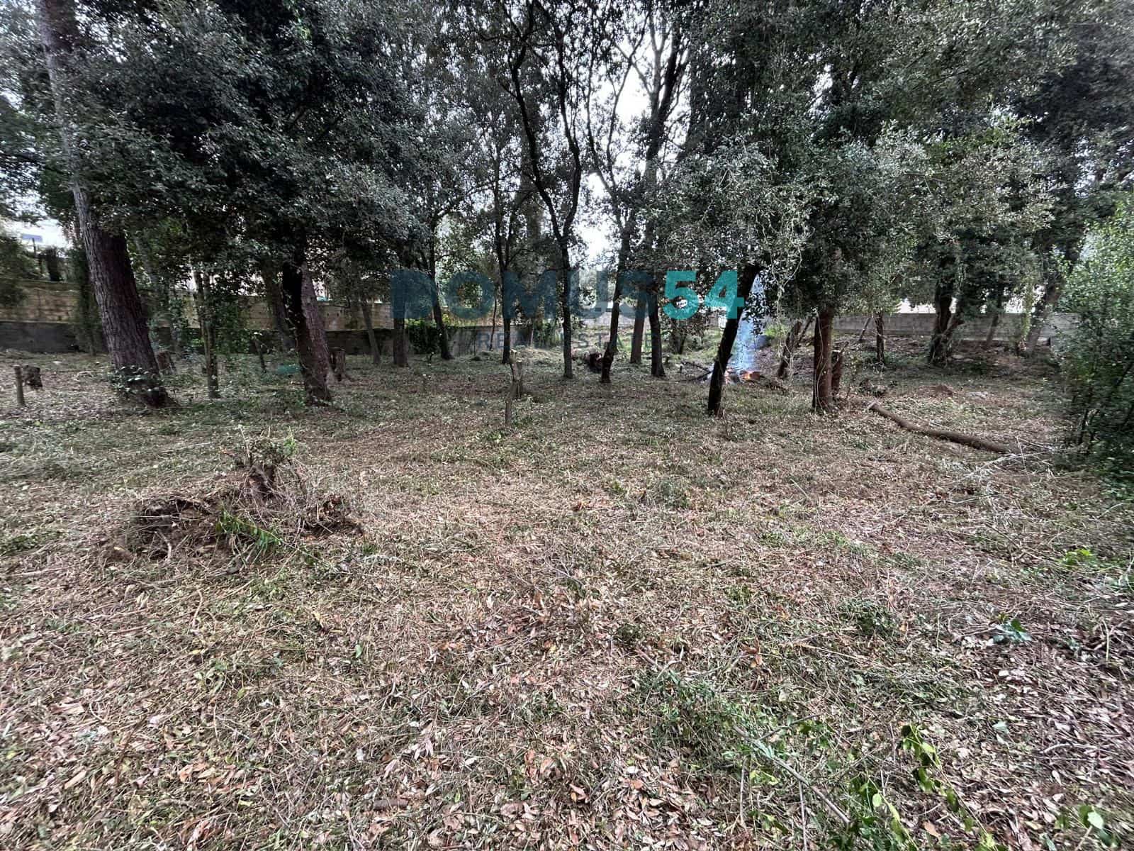 Bouwgrond te koop in Sa Pobla - € 650.000 (Ref: 9773554)