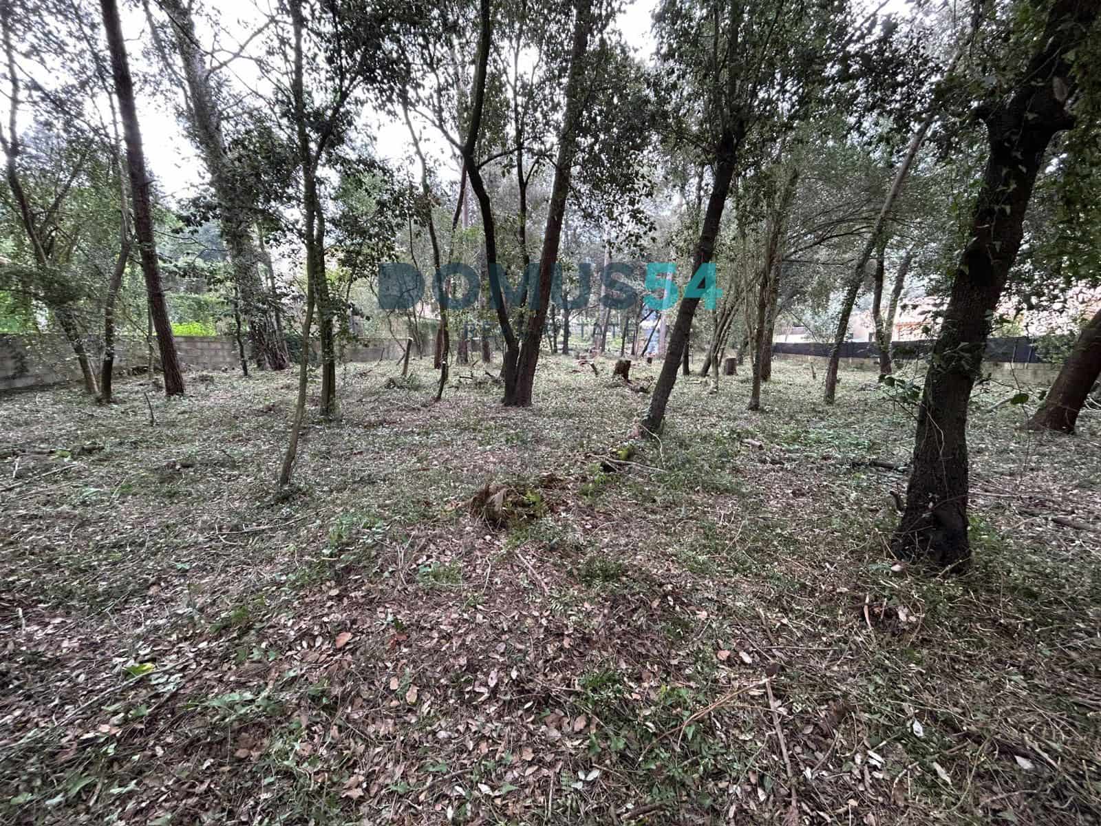 Bouwgrond te koop in Sa Pobla - € 650.000 (Ref: 9773554)