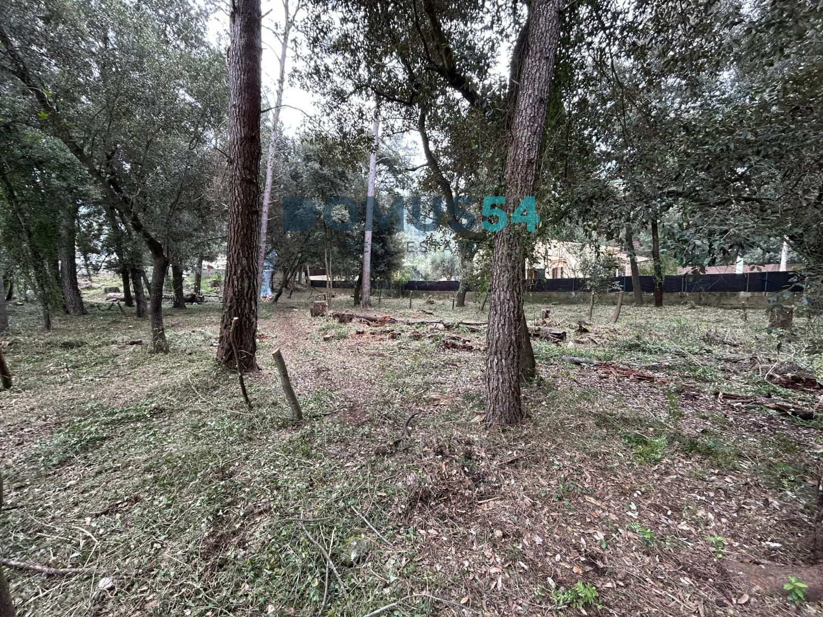 Bouwgrond te koop in Sa Pobla - € 650.000 (Ref: 9773554)