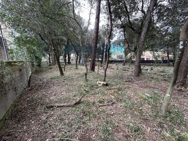 Bouwgrond te koop in Sa Pobla - € 650.000 (Ref: 9773554)