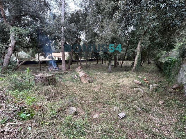 Bouwgrond te koop in Sa Pobla - € 650.000 (Ref: 9773554)