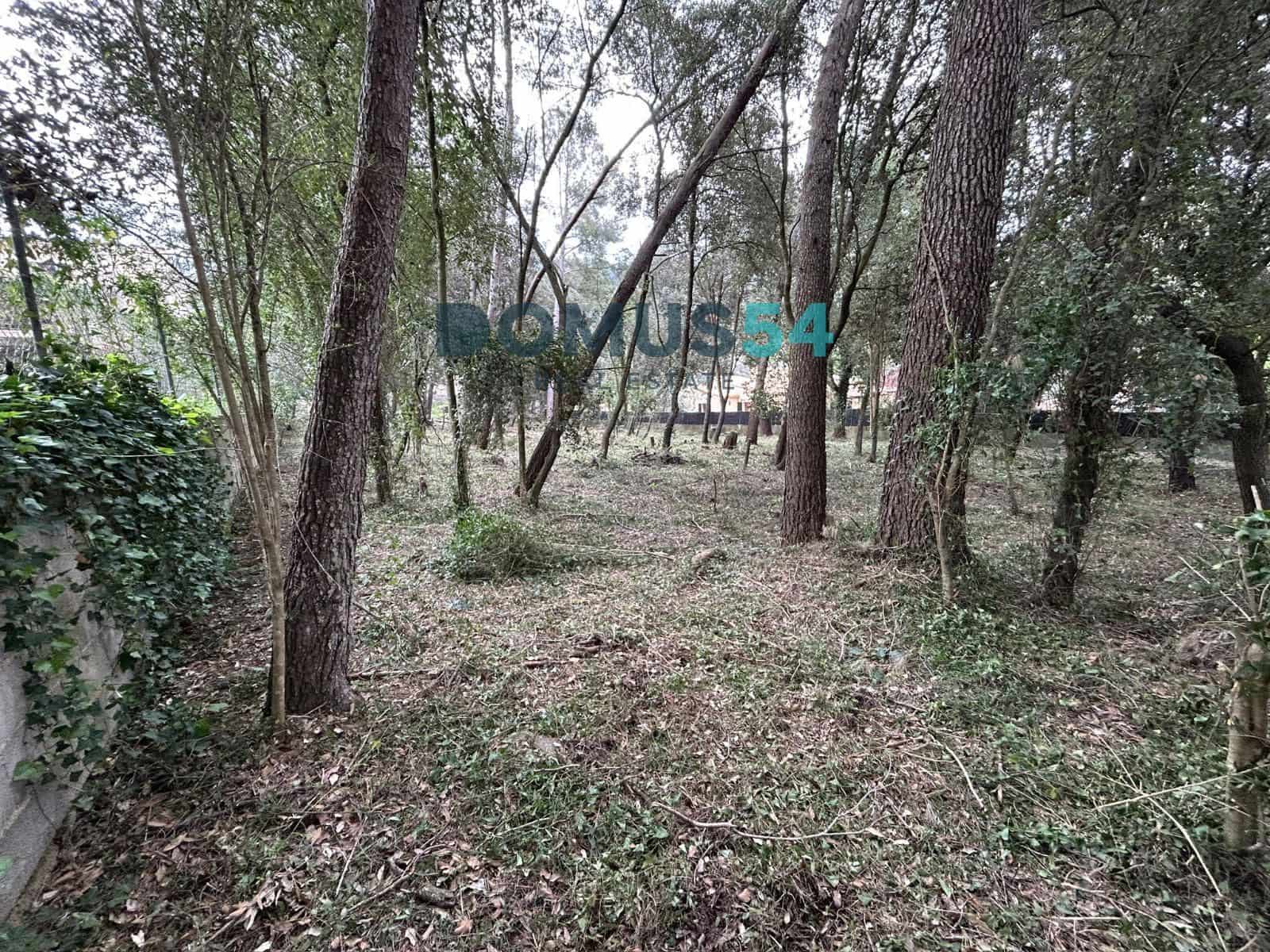 Bouwgrond te koop in Sa Pobla - € 400.000 (Ref: 9776013)