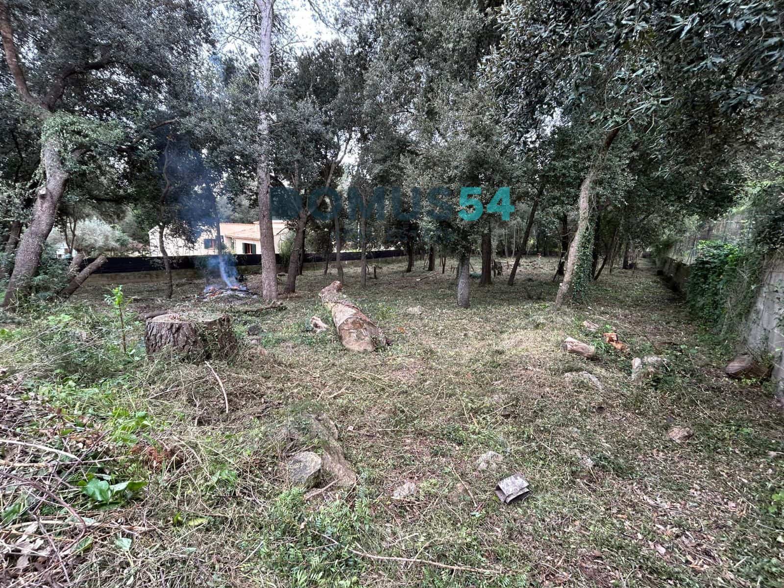 Bouwgrond te koop in Sa Pobla - € 400.000 (Ref: 9776013)